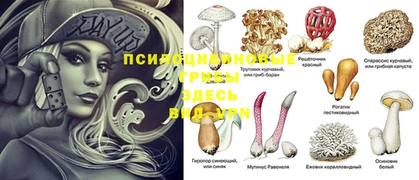 гидра Абдулино