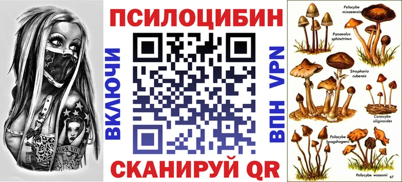 сколько стоит  Усть-Катав  hydra tor  Галлюциногенные грибы прущие грибы 